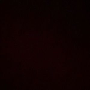 Meet your Posher, Noah